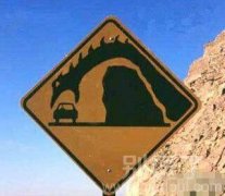 是小心怪兽的意思吗 是小心怪兽的意思吗