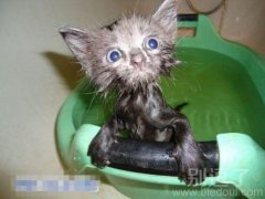 就洗个澡而已嘛! 就洗个澡而已嘛!