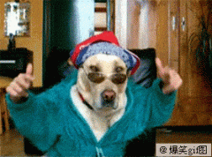 俺是真心看不懂啊