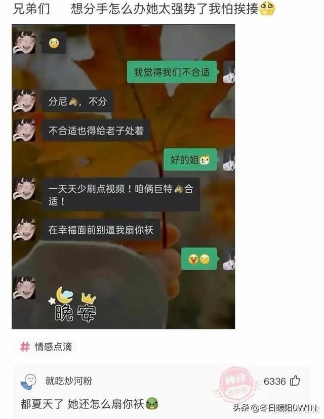 为什么秃顶的宁愿留一圈头发，也不愿意推光头，神评也是个人才