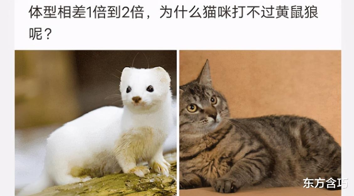 她长得不怎么样,可我就是爱她,不为别的,就因为她的裤腰带 她长得不怎么样,可我就是爱她,不为别的,就因为她的裤腰带