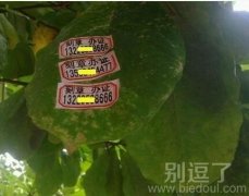 无处不在的广告。。