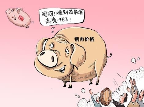猪窝笑了，都涨价吧