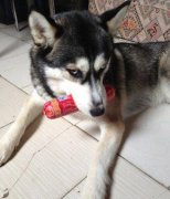 你这轻蔑的小眼神