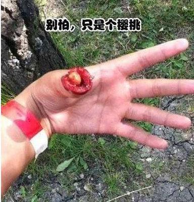 我就是吃个樱桃 我就是吃个樱桃