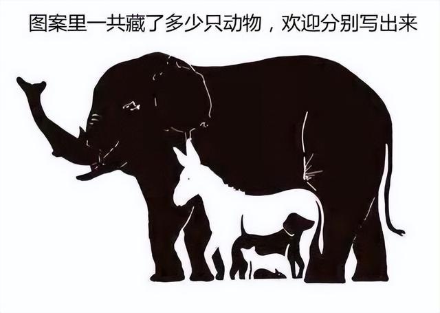 爆笑神评:我亲舅舅被人捉奸,结果一顿烤鱼直接搞定 爆笑神评:我亲舅舅被人捉奸,结果一顿烤鱼直接搞定