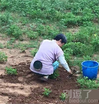 原来高手都在民间啊