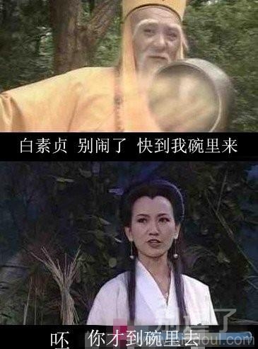 你才到碗里去呢！