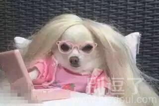 粉嫩芭比汪我想和你做朋友 粉嫩芭比汪我想和你做朋友