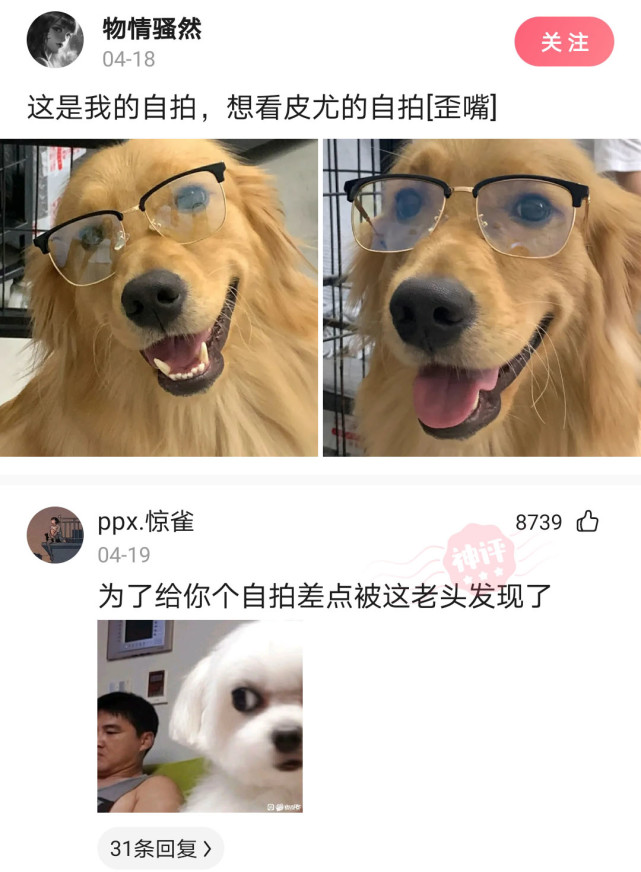 神回复:本网咖提供LOL逆风局碾压局,只需15元帮您挽回尊严! 神回复:本网咖提供LOL逆风局碾压局,只需15元帮您挽回尊严!