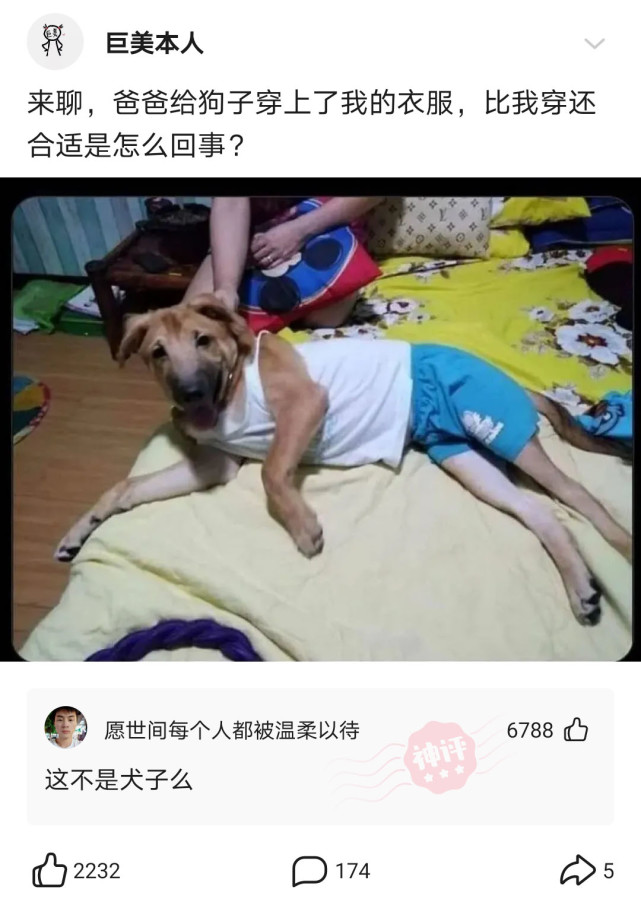 神回复:本网咖提供LOL逆风局碾压局,只需15元帮您挽回尊严! 神回复:本网咖提供LOL逆风局碾压局,只需15元帮您挽回尊严!