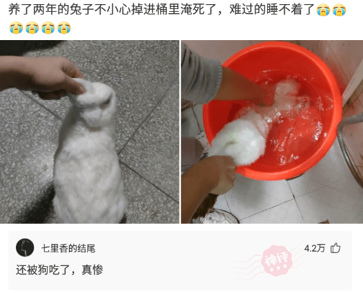 神回复:今天结婚了,要个赞不过分吧。 神回复:今天结婚了,要个赞不过分吧。