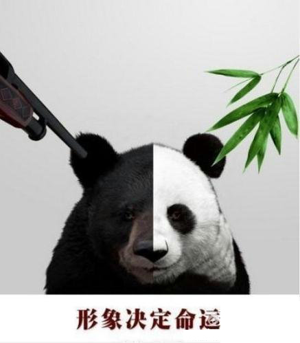 动物小清新,面部特写图片。