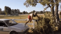 没有容嬷嬷，就只能利用仙人掌为我扎针了