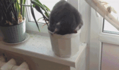 今天怎么不开心