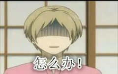 你是混黑社会的? 你是混黑社会的?