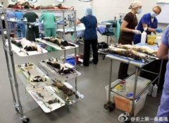 严肃一些 严肃一些