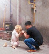 为什么剃了我的毛 为什么剃了我的毛