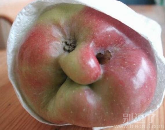 如此纠结的苹果。。 如此纠结的苹果。。