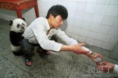 主人我们一起干活吧 主人我们一起干活吧