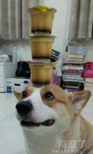 如果掉下来就不给你吃饭