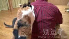 爸爸你没事去看光头强吧