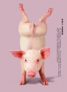 天天向上 天天向上