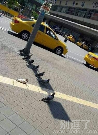 那个白色的是不是擦防晒霜了 那个白色的是不是擦防晒霜了