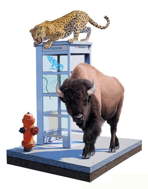 2020年动物入侵人类社会的概念图片