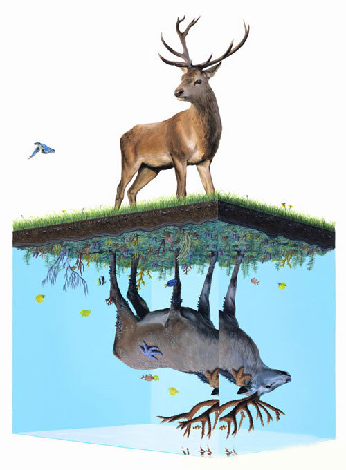 2020年动物入侵人类社会的概念图片