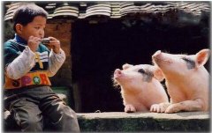 恶搞图片知音难寻 恶搞图片知音难寻