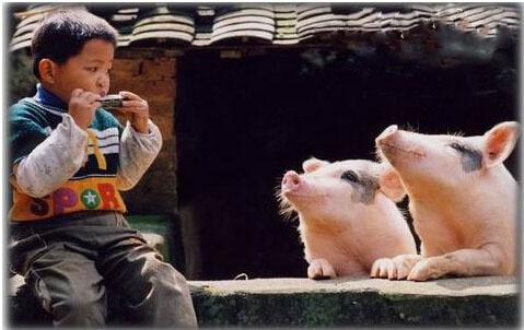 恶搞图片知音难寻 恶搞图片知音难寻