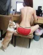 一只色色的猫咪。。 一只色色的猫咪。。