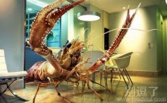 超级大龙虾张牙舞爪