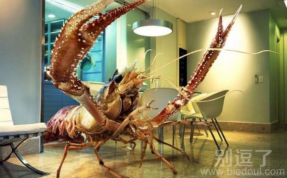 超级大龙虾张牙舞爪 超级大龙虾张牙舞爪