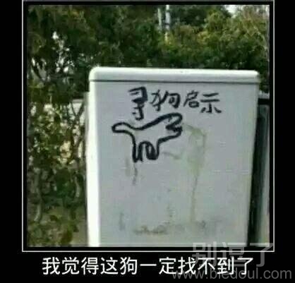 一条寻狗启事。。 一条寻狗启事。。