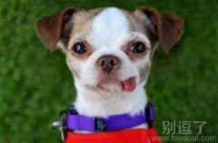 这小舌头，真是俏皮。