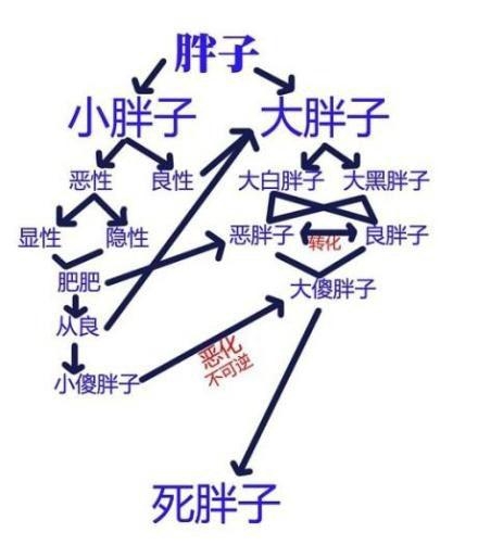 胖纸的最终归宿。。 胖纸的最终归宿。。