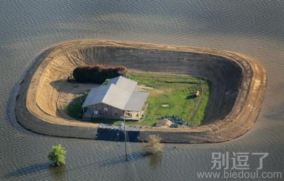 诺亚方舟，真是绝了！