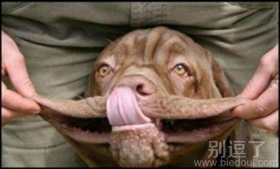 乐一个,真是够丑的了 乐一个,真是够丑的了