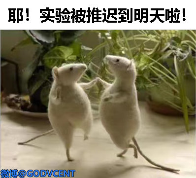 轻松一刻:头部网红有多赚钱?日进2800个W…… 轻松一刻:头部网红有多赚钱?日进2800个W……