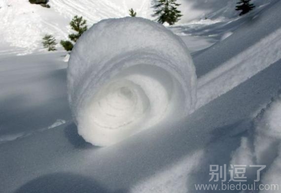 好大的春卷啊,能吃 好大的春卷啊,能吃