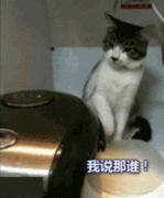 你怎么就这么笨！