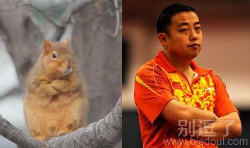 刘：我就静静看你装B