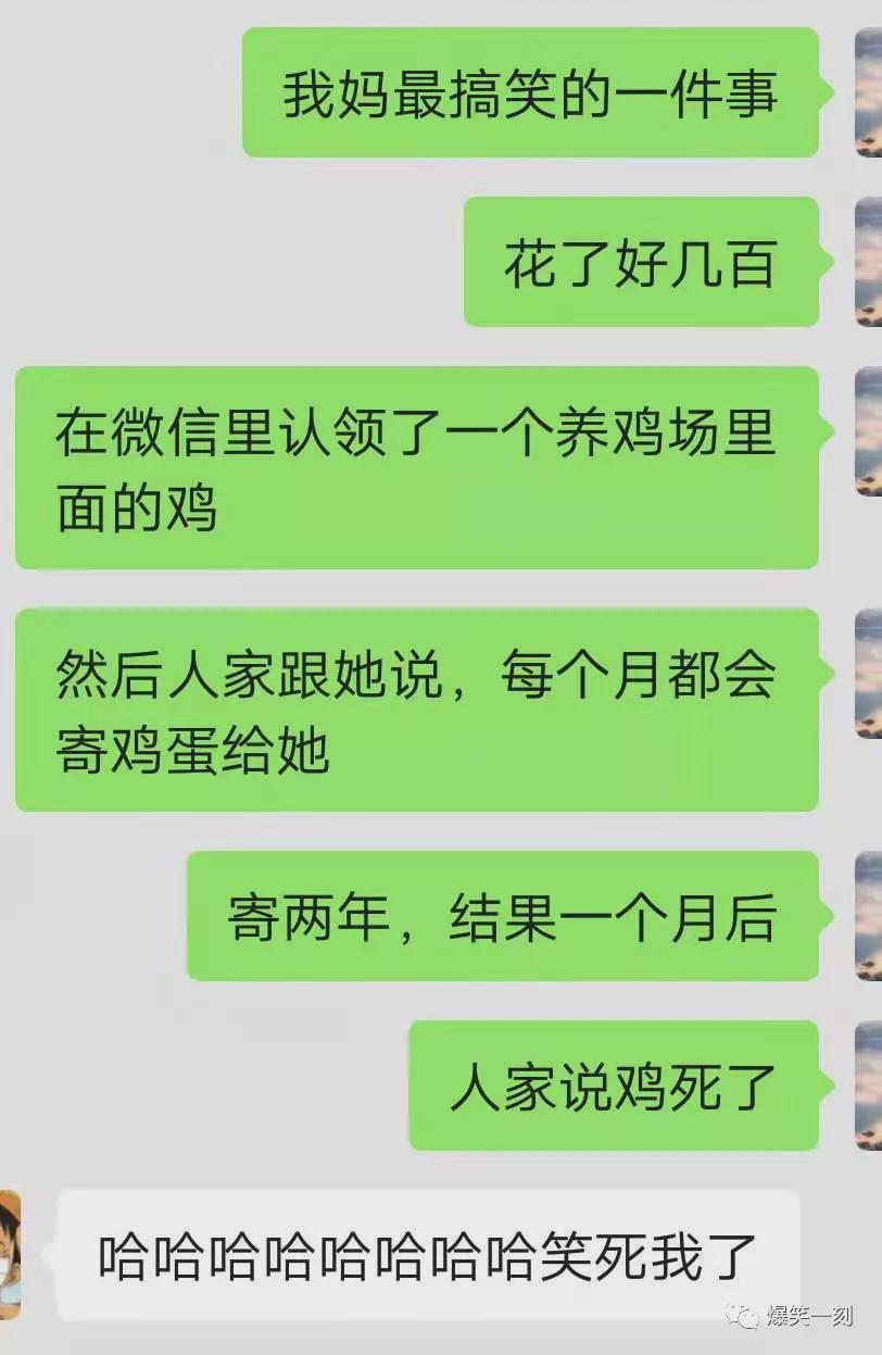 “警犬知道自己是警犬吗？”哈哈哈当然知道，他还知道自己有编…