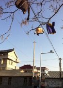 我家都是这样晒衣服的