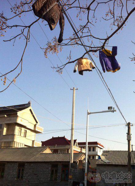 我家都是这样晒衣服的 我家都是这样晒衣服的