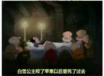 七个小矮人救了白雪公主 七个小矮人救了白雪公主