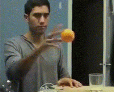 来，我们干了这杯橙汁