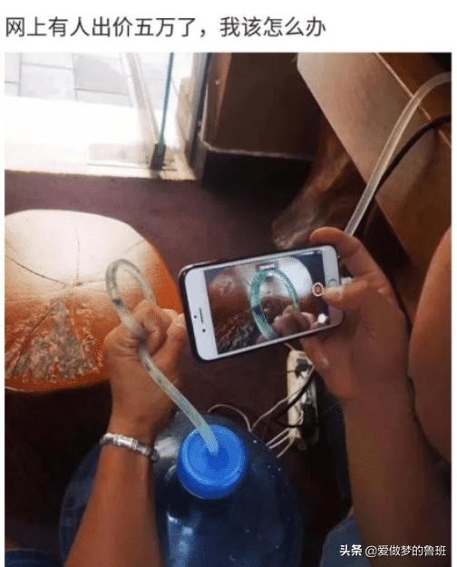 “乱的技校可以乱到什么程度?”哈哈哈哈哈不把老师当老师 “乱的技校可以乱到什么程度?”哈哈哈哈哈不把老师当老师